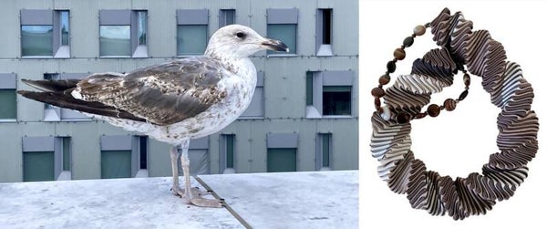 Oslo Opera Seagull - W