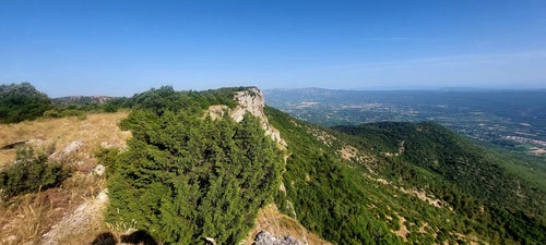 20250705_085616-standard-g2gwo5.jpg