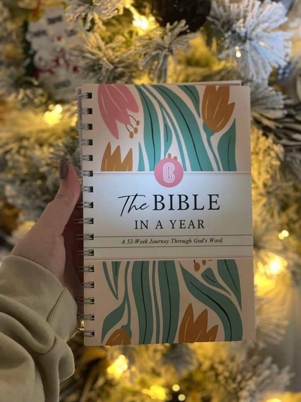 Bible in a Year