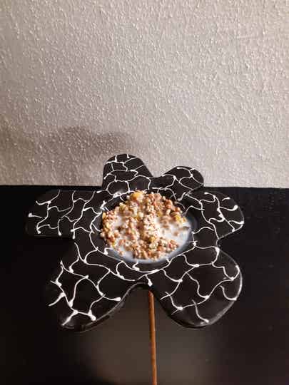 Vogelbloem (zwart/ wit)