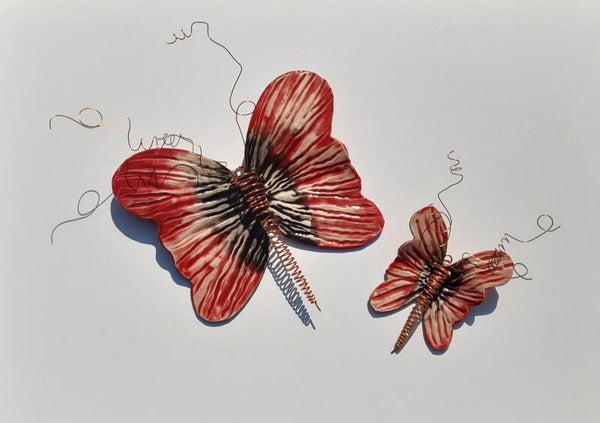 Vlinder Rawa, zwart-rood golf