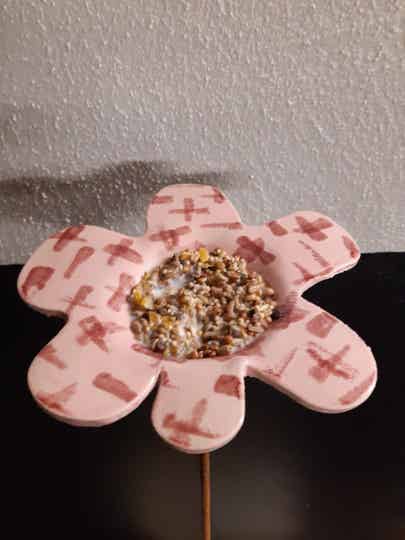 Vogelbloem (licht roze/ braam roze)