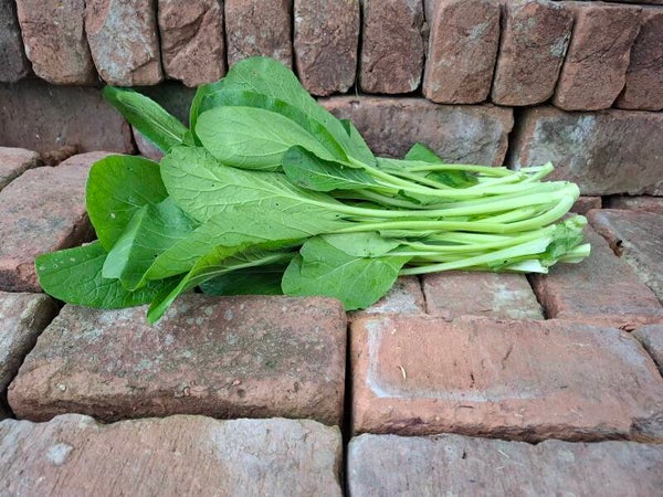 Choi Sam