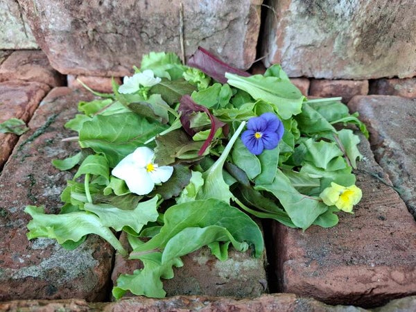 Baby leaf met viooltjes
