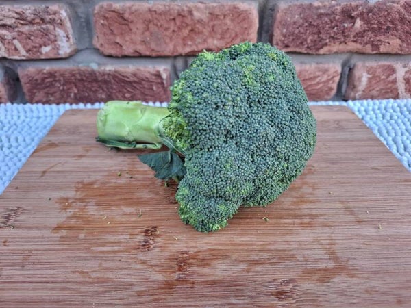 Broccoli