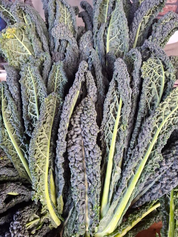 Palmkool / Cavolo Nero