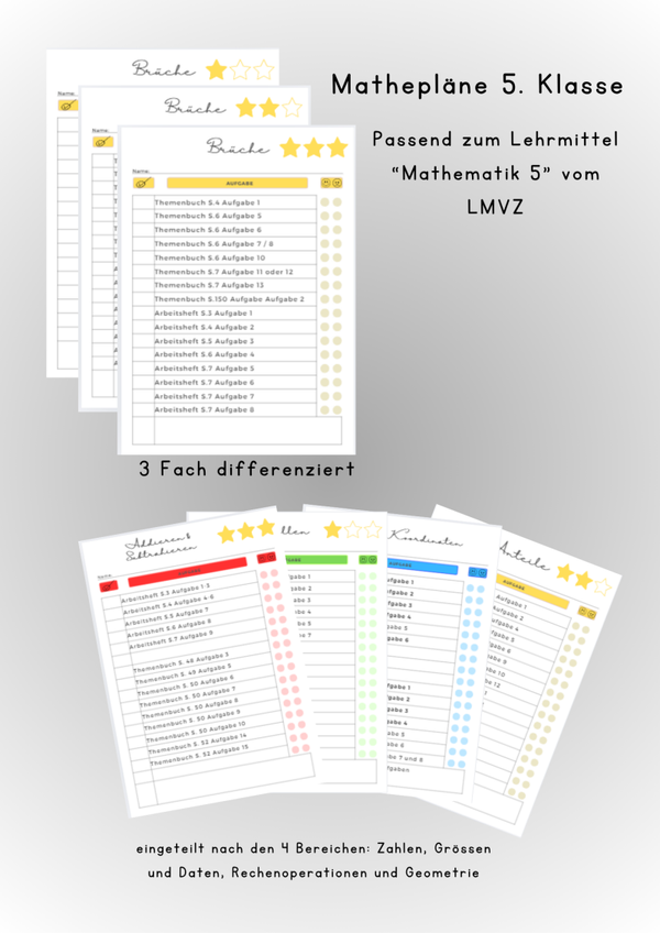 Mathepläne 5.Klasse LMVZ