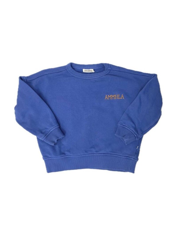 Ammehoela sweater - maat 104