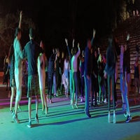 img_3646-standard.jpg