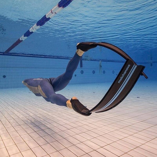 Dynamic Training