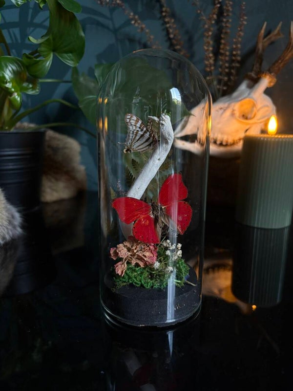 Stolpje vlinders 12cm