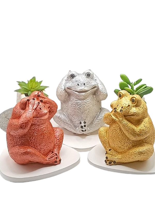 Les grenouilles de la sagesse C/D/A