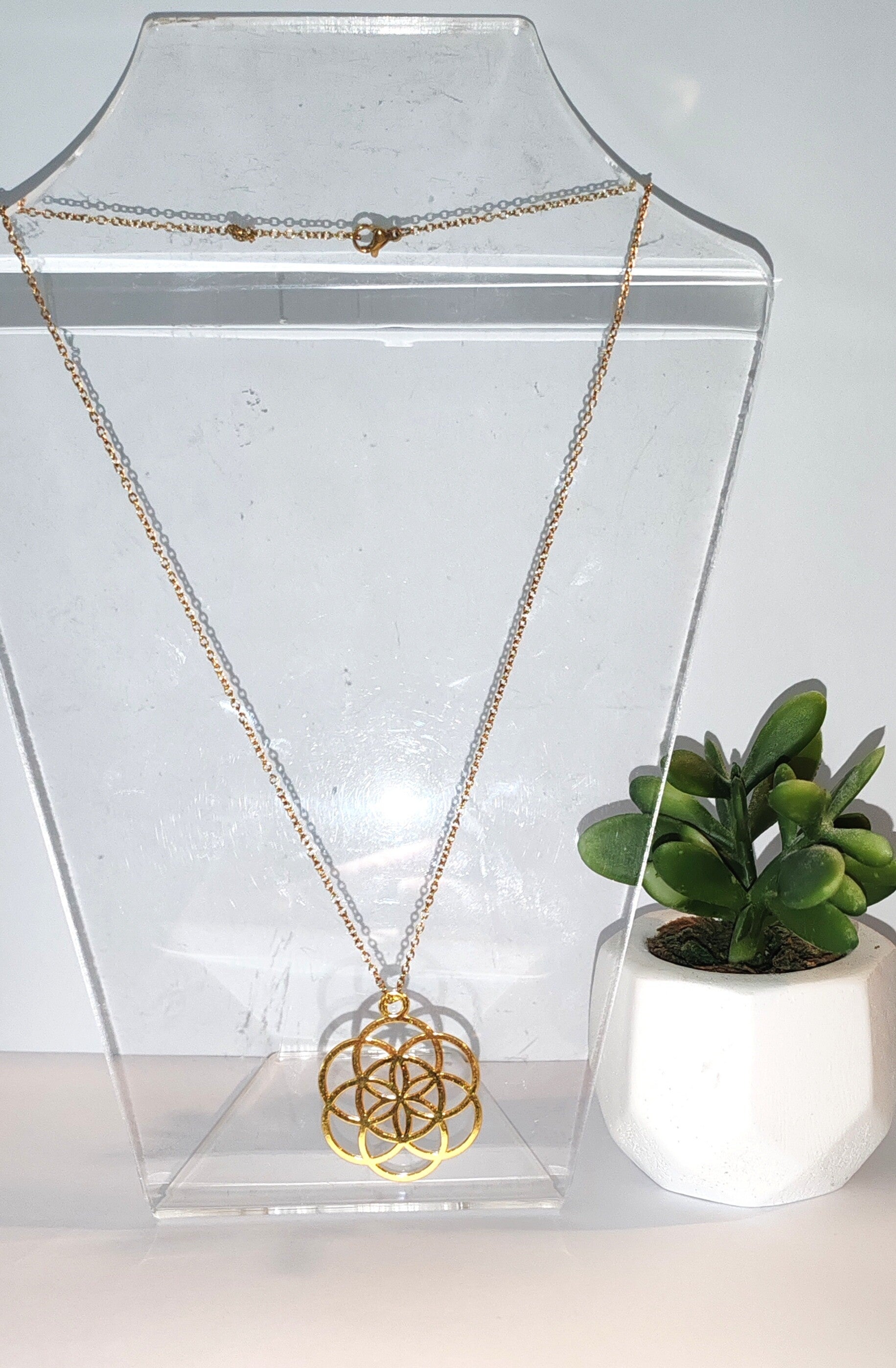 Collier  chaine Graine de vie dorée