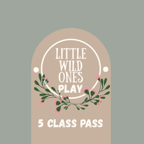 5 Class Pass - Term Two