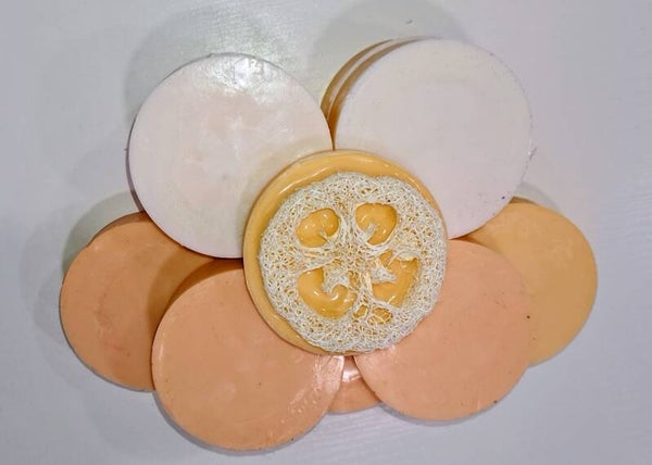 Squeeze the Day Loofah Bar
