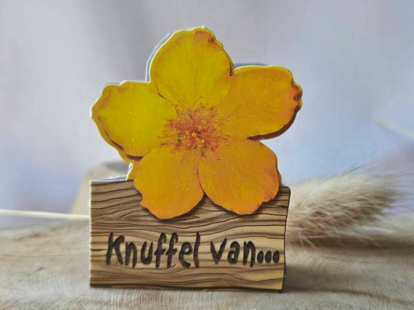 Bloemenkaartje ~ Knuffel van...
