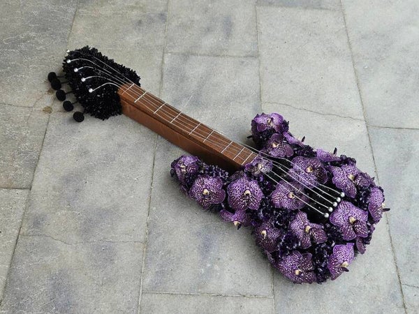 Zilverglans ~ Bloemen gitaar
