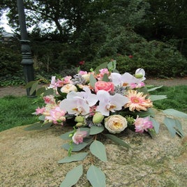 perzikkleur-9-standard.jpg