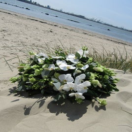 zijdewit-1-standard.jpg