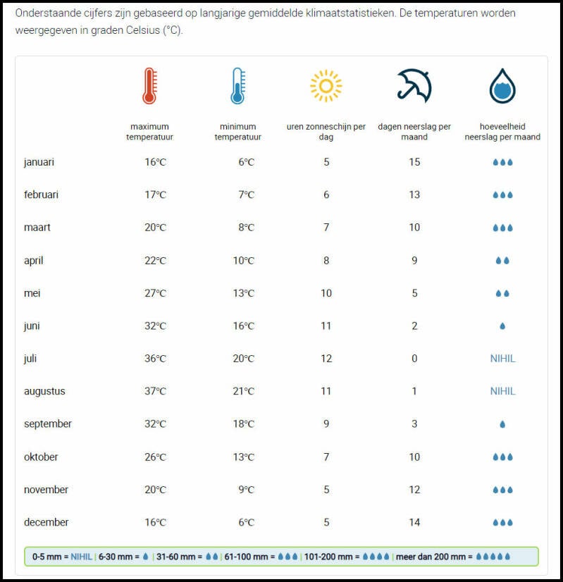 Porcellio spec. "Sevilla caramel"