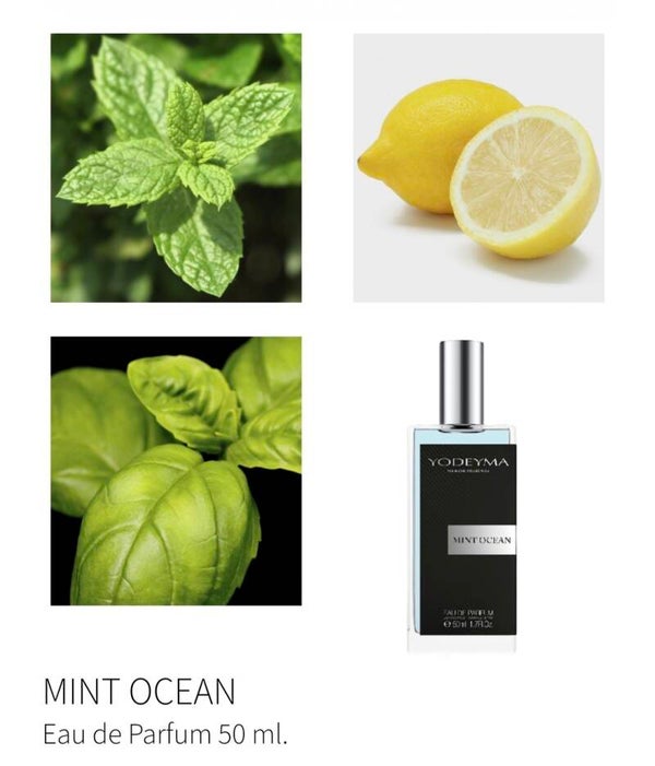 MINT OCEAN 50ml HEREN/NICHE COLLECTIE