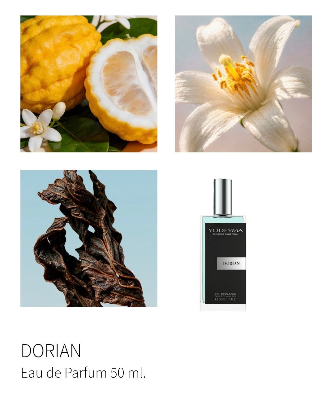DORIAN 50ml NICHE COLLECTIE HEREN