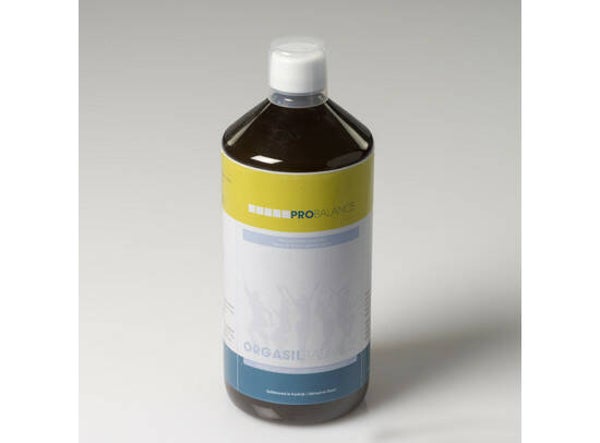 Orgasilbalance 2x500ml