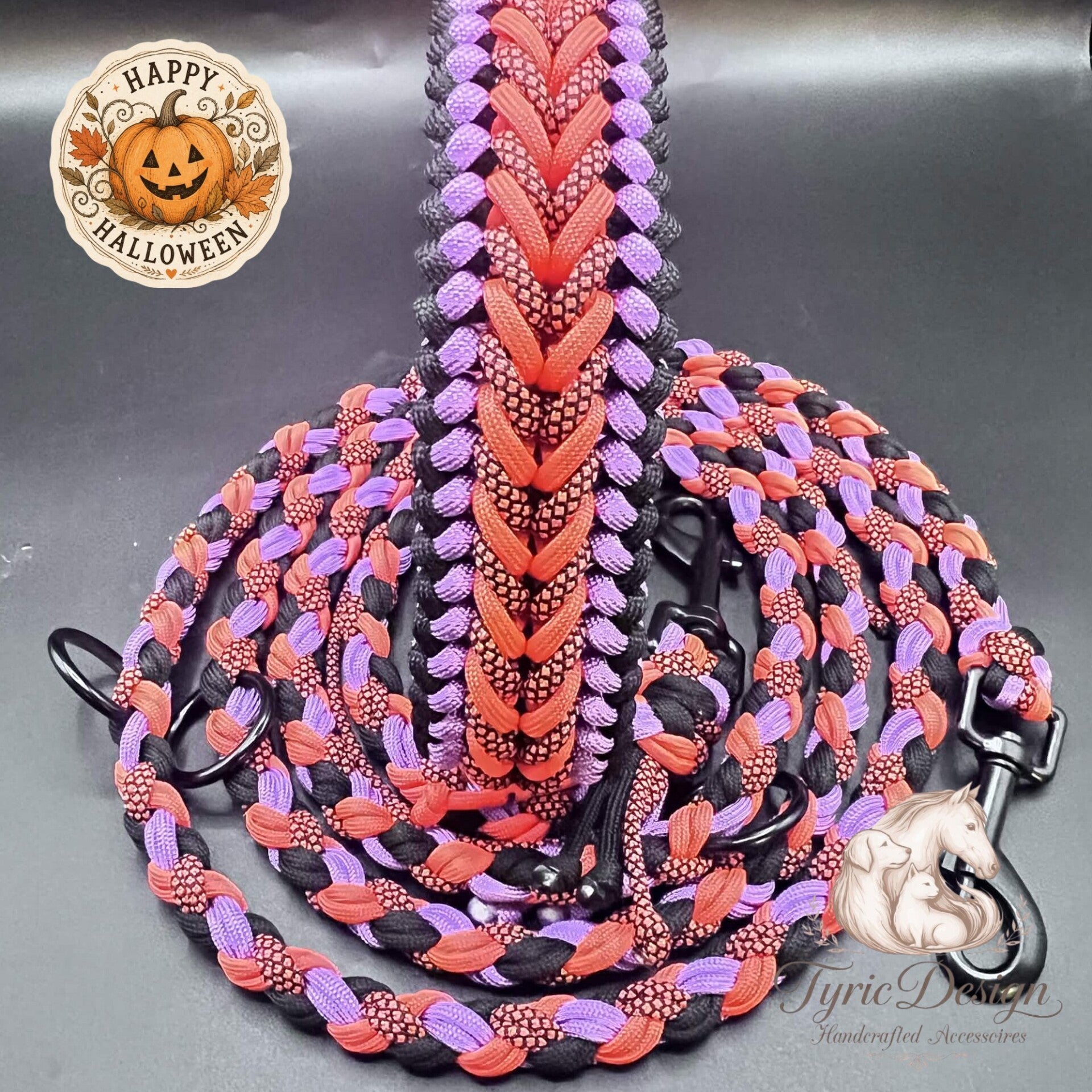 🎃 Halloween Hunde-Set "Trick or Treat" – Maßgefertigtes Paracord & Biothane Set (Limited Edition)