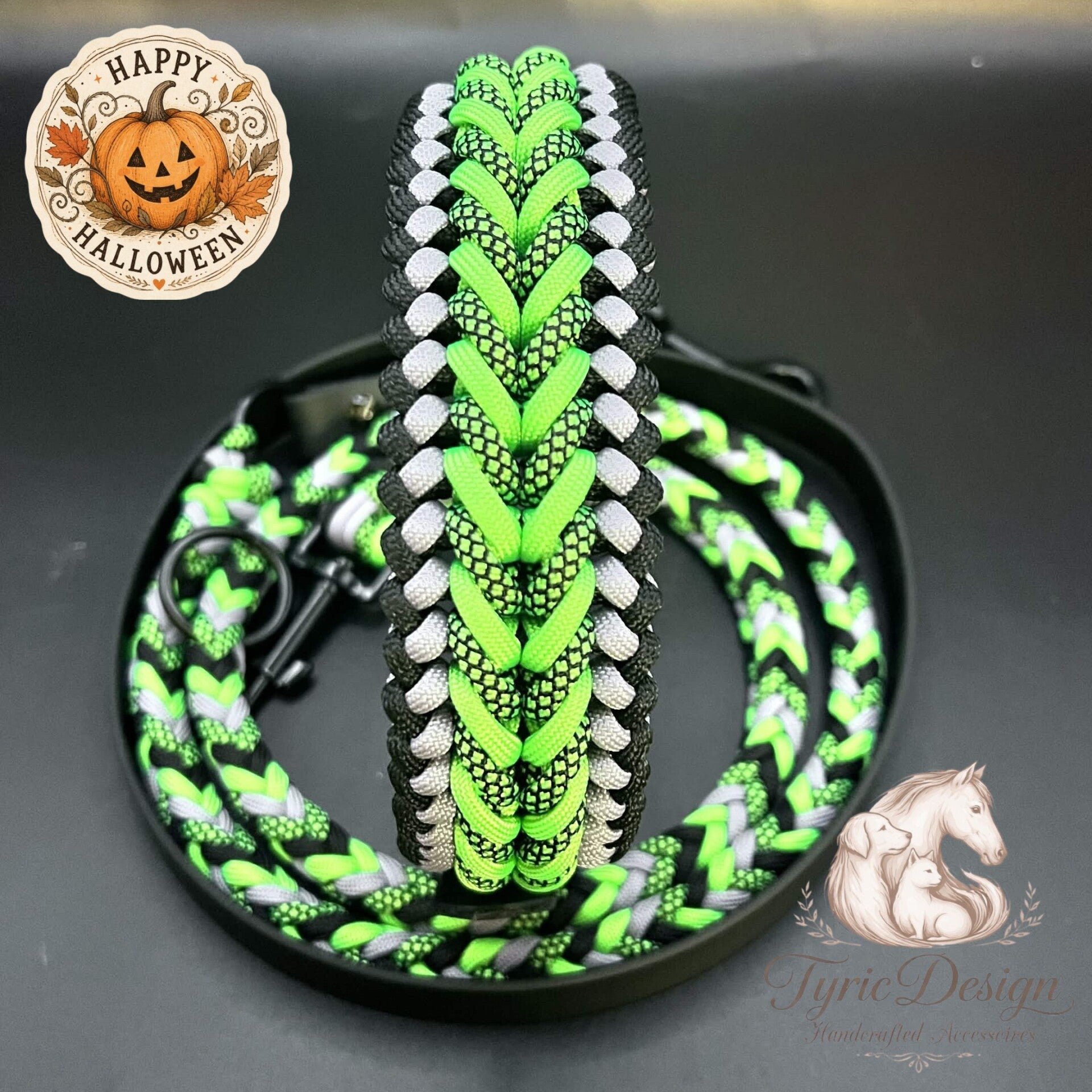🎃 Hunde-Set "Halloween Cauldron" – Mystische Limited Edition aus Biothane & Paracord
