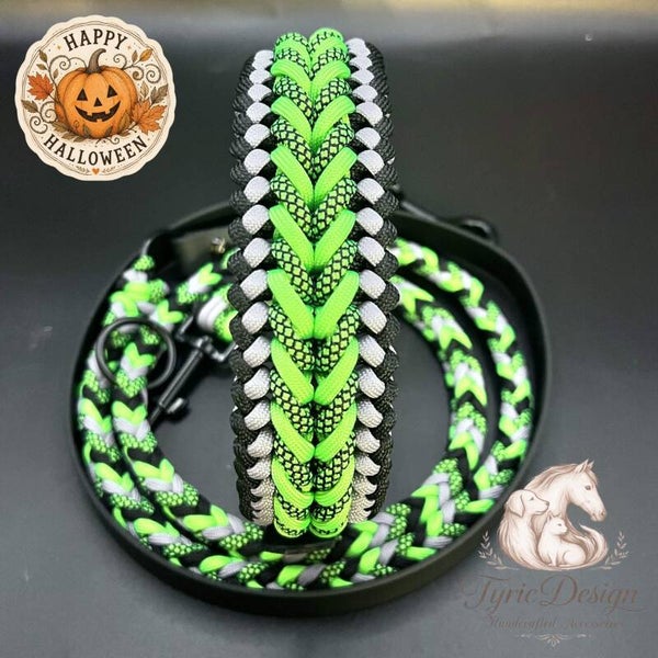 🎃 Hunde-Set "Halloween Cauldron" – Mystische Limited Edition aus Biothane & Paracord