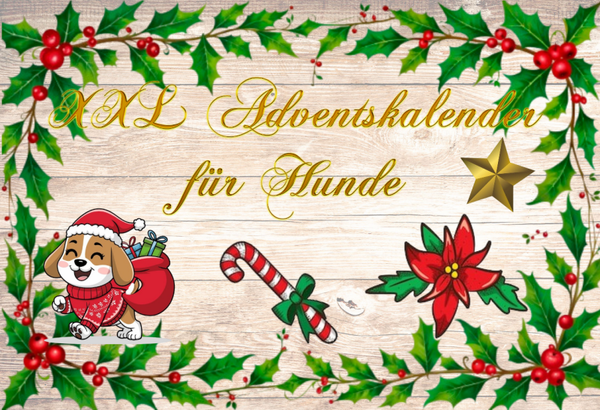 Adventskalender für Hunde und Frauchen/Herrchen, XXL oder Medium, beinhaltet jegliche Art von Zubehör, Snacks, Spielzeug uvm.