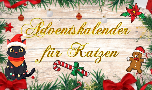Adventskalender für Katzen und Frauchen/Herrchen, beinhaltet jegliche Art von Zubehör, Snacks, Spielzeug uvm.