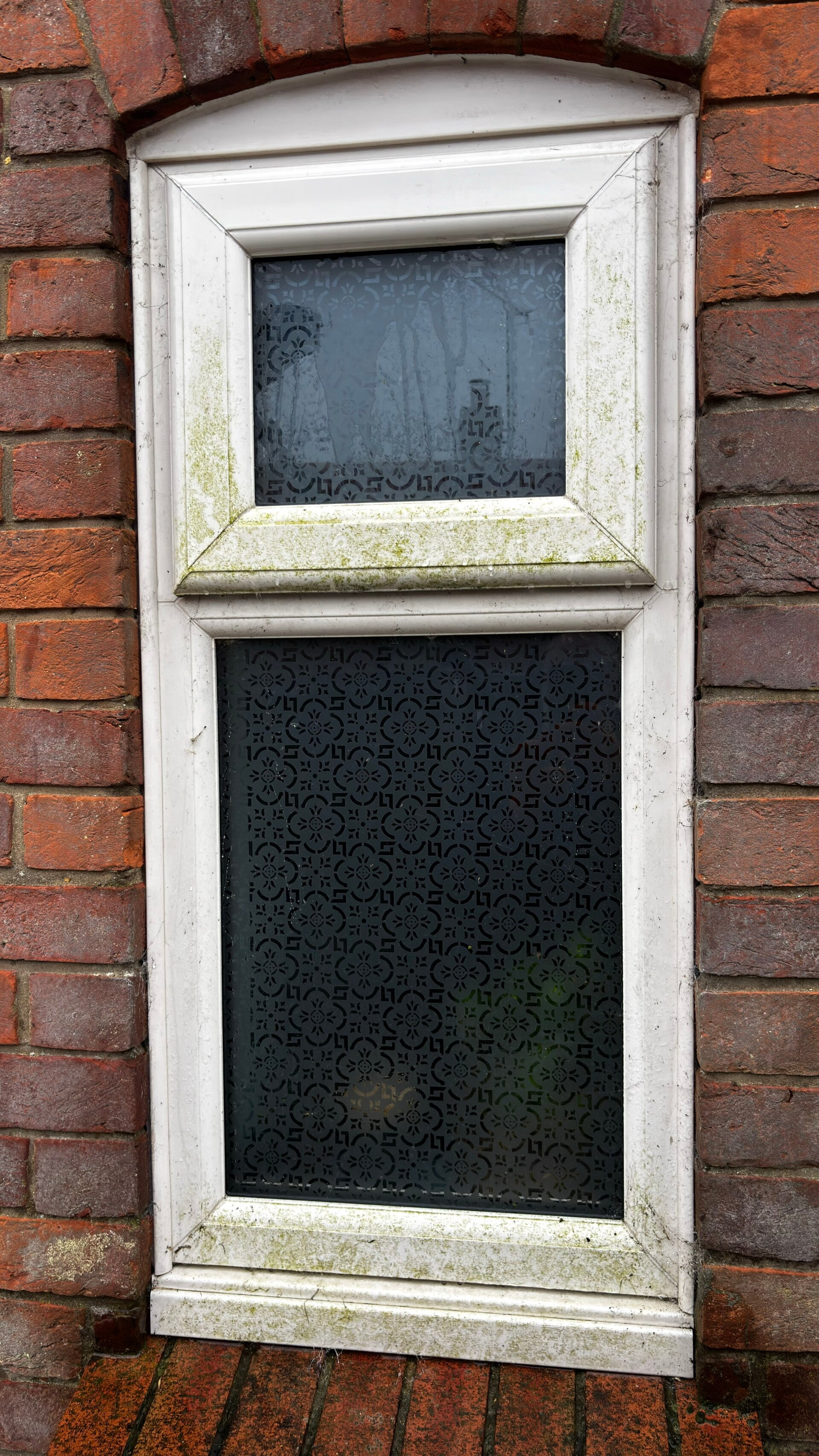 img_0213-standard.jpg