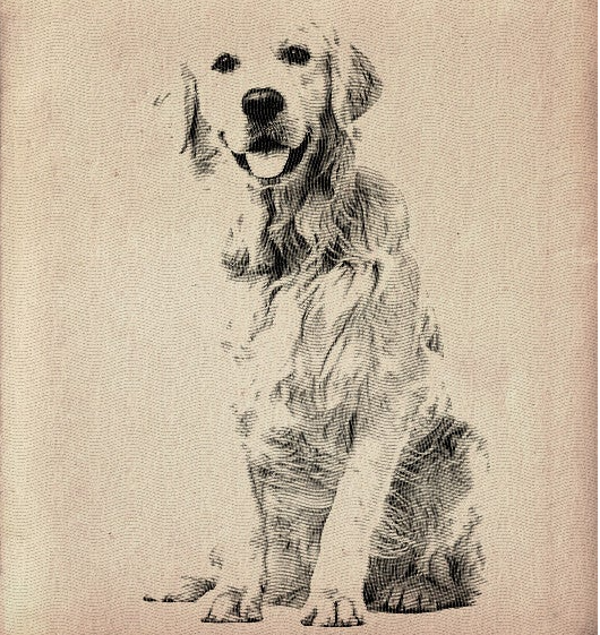 Recuerdo de tu mascota en madera