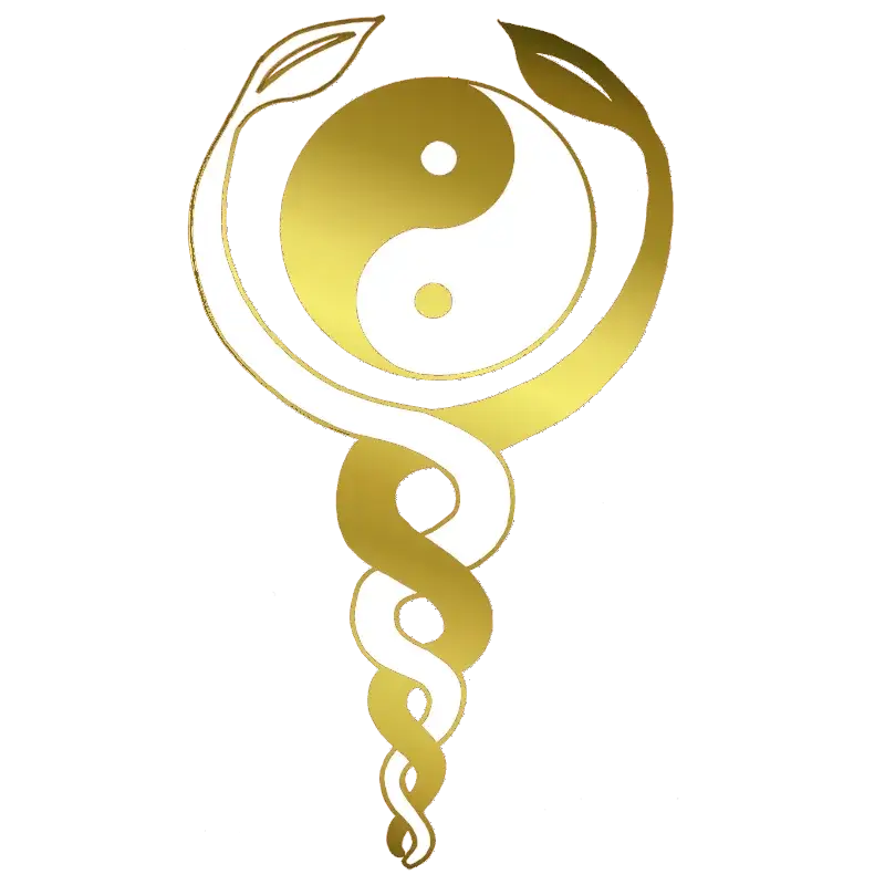 werkwije soul beyoutiful