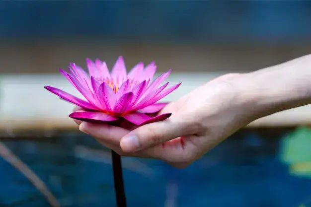 Mindfulness oefeningen bij angst soul beyoutiful online holistische coaching 