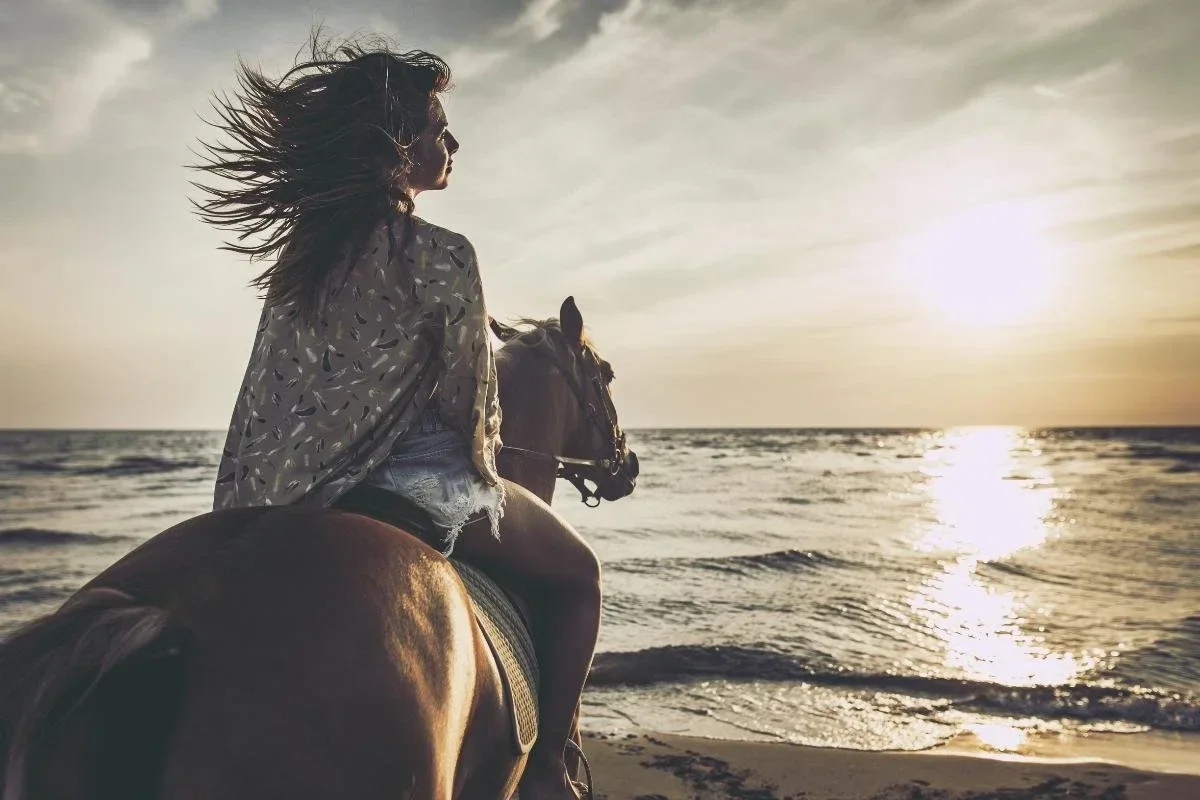 paardencoaching, coaching voor paarden, soul beyoutiful