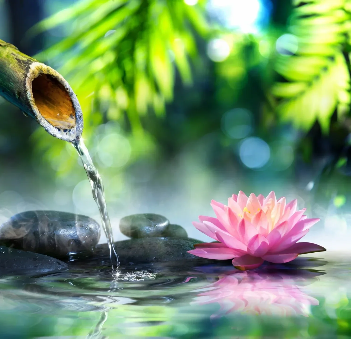 soul beyoutiful