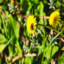 2025-06-27-09-12-24-standard.jpg