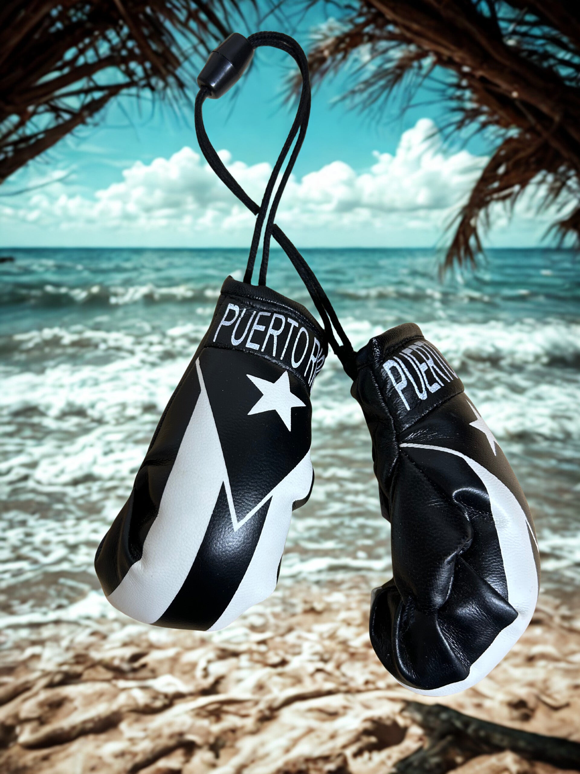 Set de guantes de boxeo  bandera PR