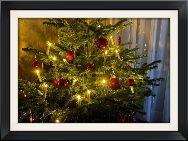 Tannenbaum im Rahmen