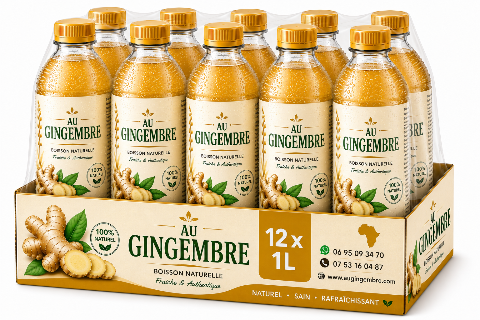 Gingembre Pack familial 1L x 12