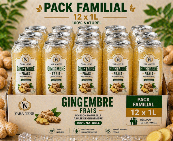 Gingembre Pack familial 1L x 12