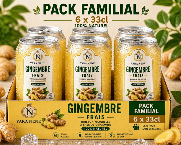 Gingembre pack familial 33cl x 6