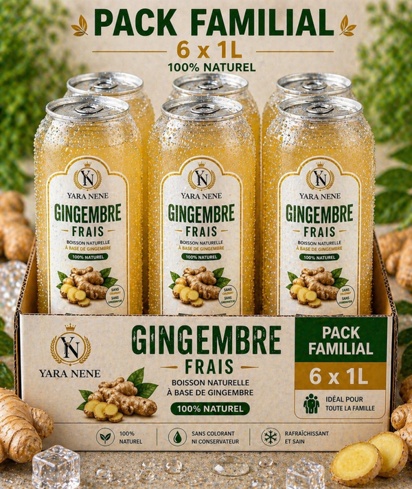 Gingembre Pack familial 1L x 6