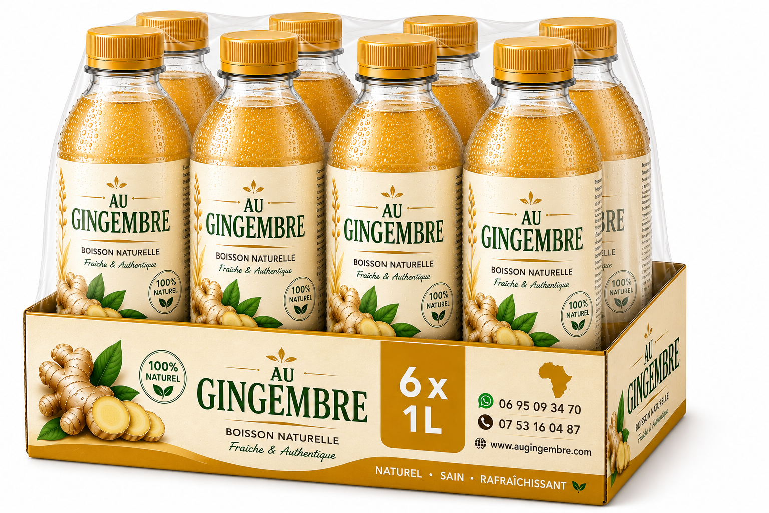 Gingembre Pack familial 1L x 6