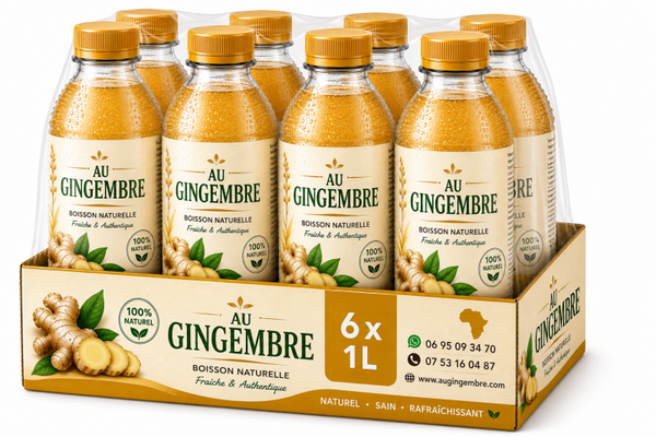 Gingembre Pack familial 1L x 6