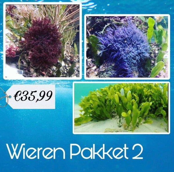 Wieren Pakket 2