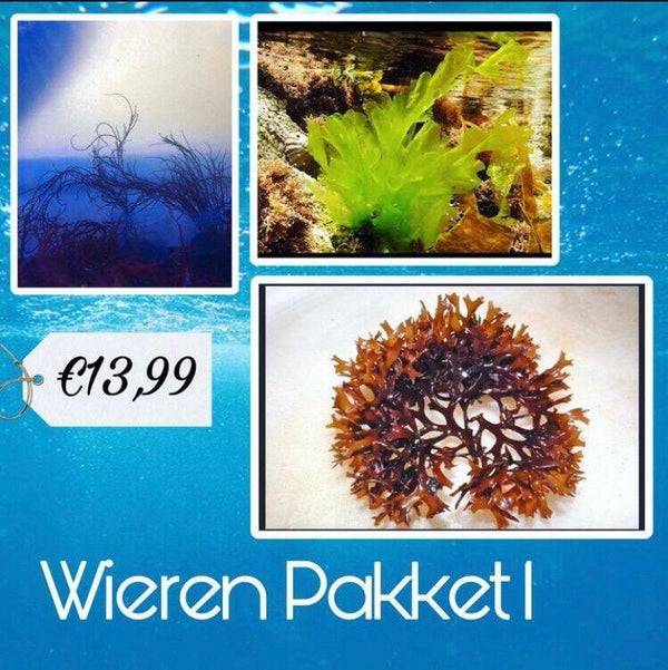 Wieren Pakket 1