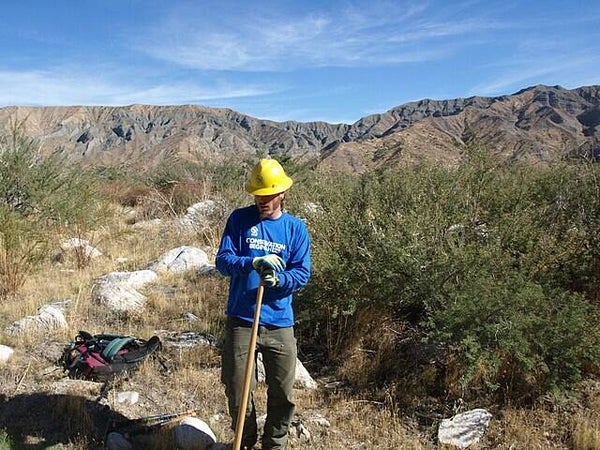 Trainings for Professionals